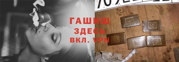 спиды Ельня
