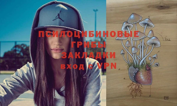 метадон Дмитровск
