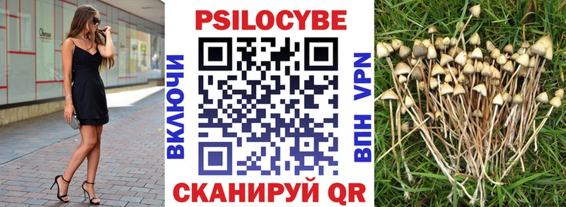 Купить закладки  Кондопога  Галлюциногенные грибы мицелий 