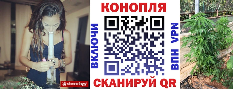 Марихуана семена  Купить где  Кондопога 